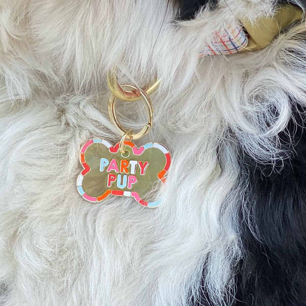 Colorful dog tag on dog.