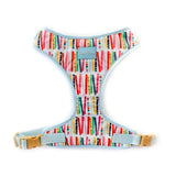 Birthday Candles Dog Harness