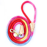 Hold It! Rainbow Dog Leash