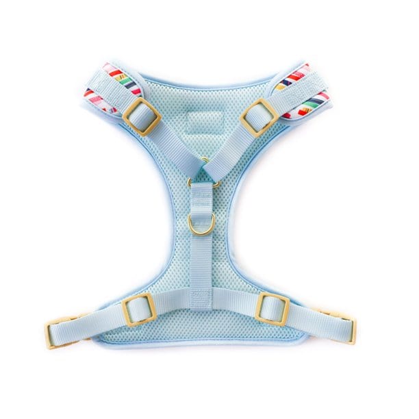 Birthday Candles Dog Harness