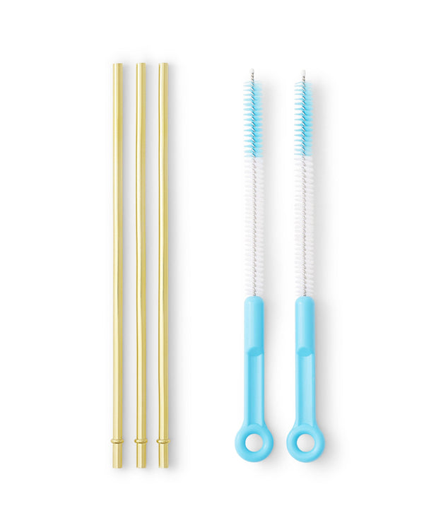 Extra Straws + Cleaning Kit Bundle (Large)