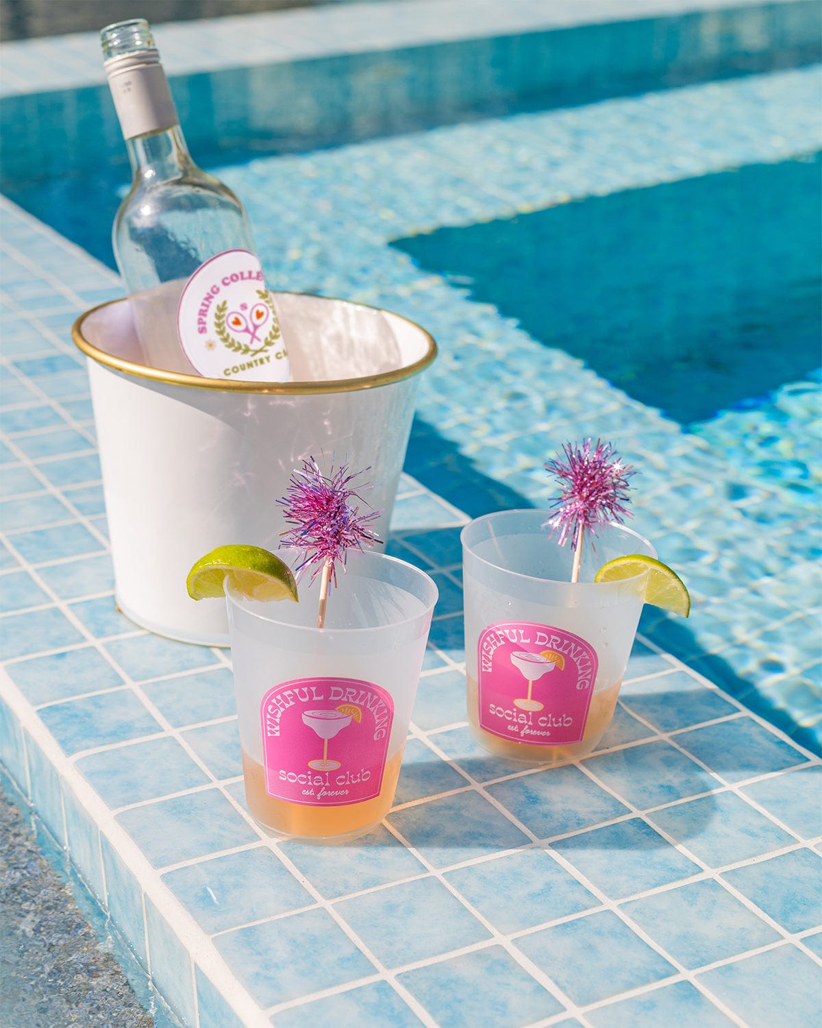 Wishful Drinking Reusable Party Cups with Pom Stirs (Set of 10)