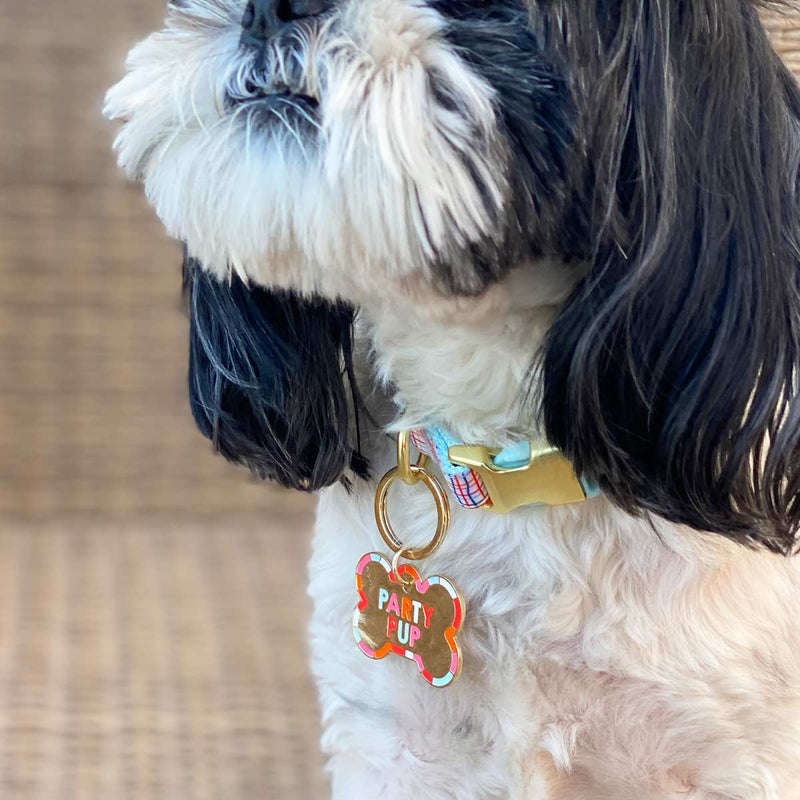Colorful dog tag on a dog.