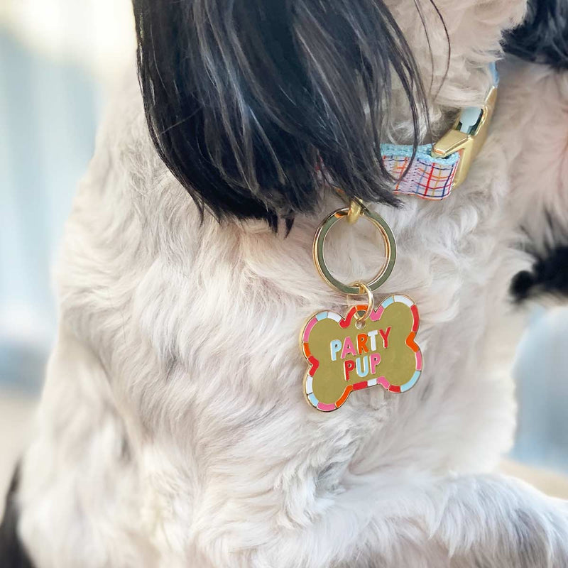 Colorful dog tag on dog.