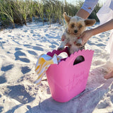 Cute puppy in a pink jelly tote on a beach